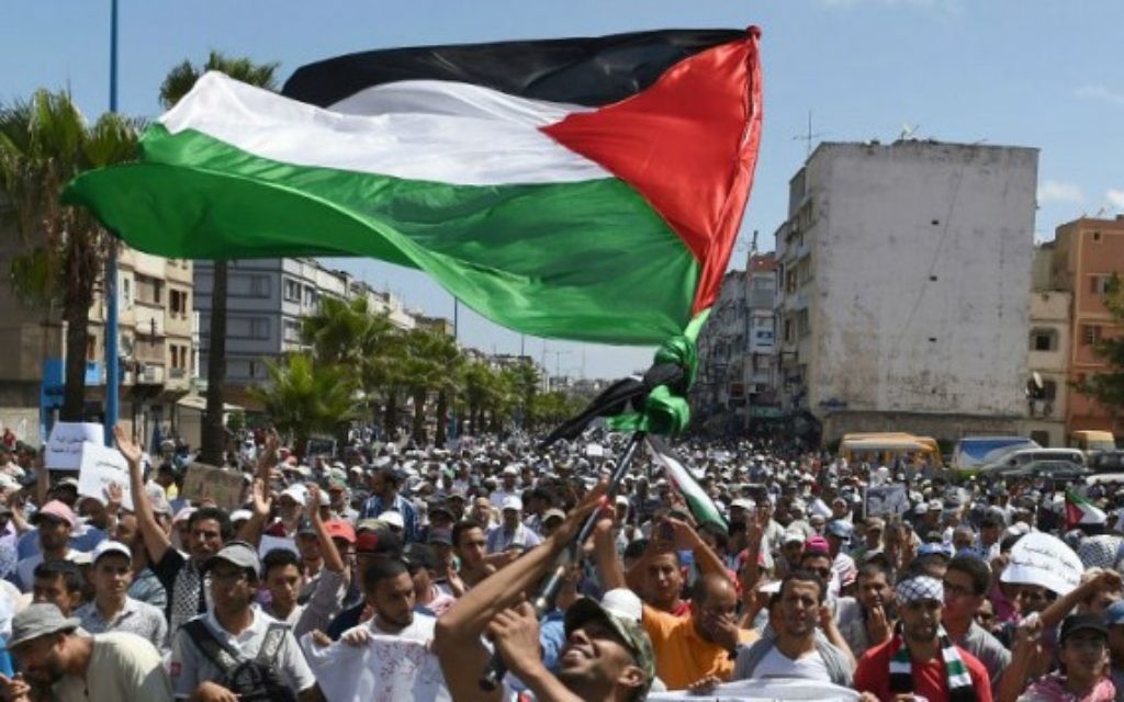Près de 10 000 manifestants à Casablanca en soutien à Gaza - 3 août 2014 Crédit : AFP)