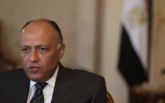 Sameh Choukri, ministre égyptien des Affaires étrangères. (Crédit : capture d'écran YouTube)