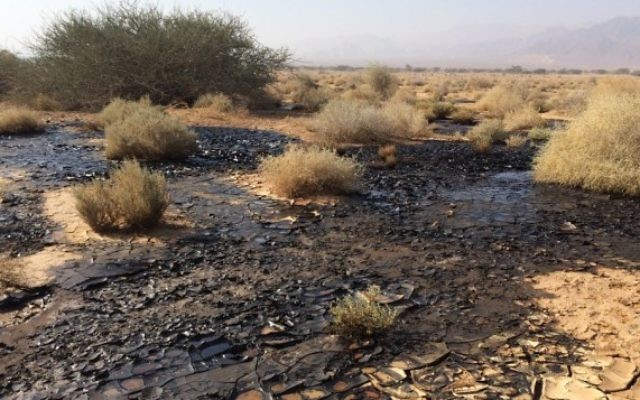 Les dégâts causés part l'explosion du pipeline Trans-Israel début décembre 2014 à Arava