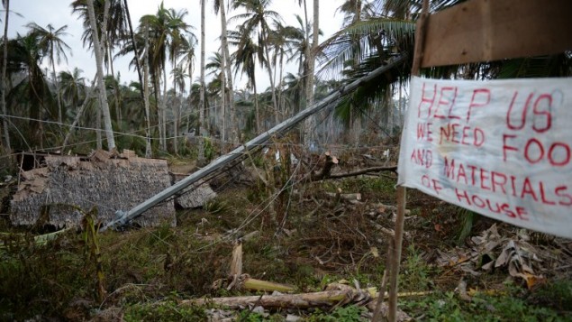 Les ruines d'une maison d'un fermier détruite près de cocotiers déracinés par le Typhoon Hagupit dans le village de Taft town, dans la province Samar de l'Est photo prise le 10 décembre 2014 (Crédit : AFP/TED ALJIBE)