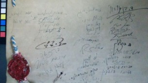 Les signatures sur la Déclaration d'Indépendance (Crédit : Ilan Ben Zion / Times ofl Israël)