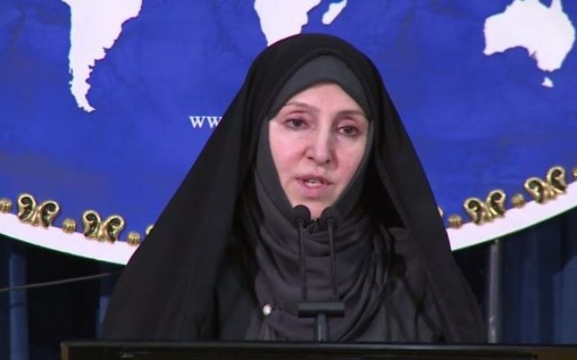 Marzieh Afkham en conférence de presse en 2013 (Crédit : Capture d'écran YouTube)