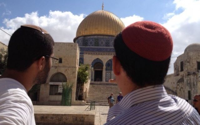 Des Juifs religieux visitant le mont du Temple, le 25 août 2015 (Photo: Elhanan Miller / Times of Israel)
