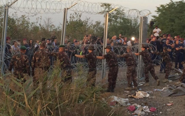Les réfugiés syriens en chemin vers la frontière hongroise accompagné d''israAID (Crédit : Autorisation IsraAId)