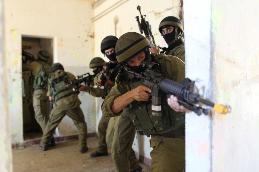 LOT INSIGNES GRADES ARMEE ISRAELIENNE PARACHUTISTES NAGEURS DE COMBATS  CHUTEURS OPERATIONNELS TSAHAL