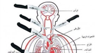 Une planche anatomique publiée sur Facebook par le Gazaoui Zahran Barbah, le 8 octobre, montrant quelles parties du corps viser lorsque l'on poignarde une victime. (Crédit : Autorisation de MEMRI)