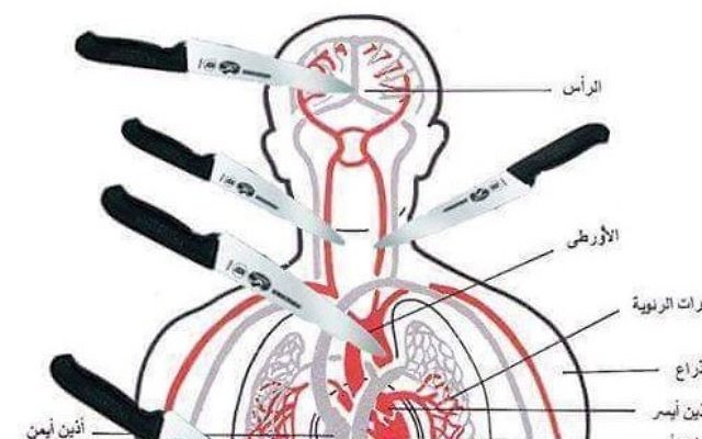 Une planche anatomique publiée sur Facebook par le Gazaoui Zahran Barbah, le 8 octobre, montrant quelles parties du corps viser lorsque l'on poignarde une victime. (Crédit : Autorisation de MEMRI)