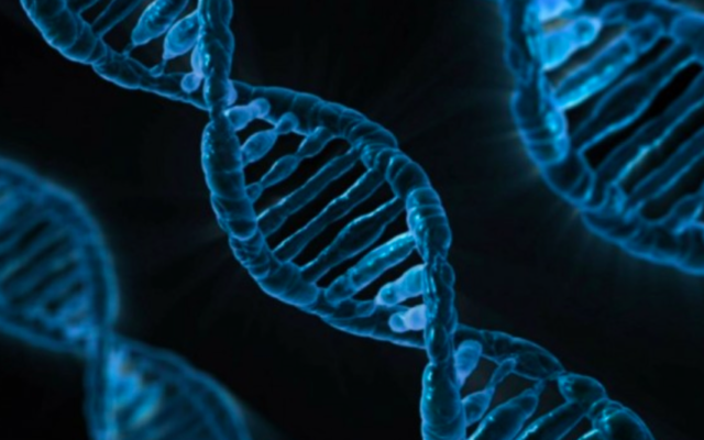 Illustration de l'ADN (Crédit : Pixabay/ Domaine public)