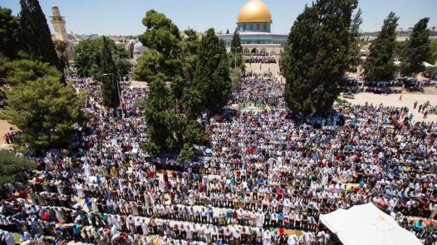 Des milliers de musulmans prient devant le Dôme du Rocher sur le complexe appelé al-Haram al-Sharif par les musulmans et mon du Temple par les juifs, le deuxième vendredi du mois saint de Ramadan, dans la Vieille Ville de Jérusalem, le 17 juin 2016. (Crédit : Suliman Khader/Flash90)