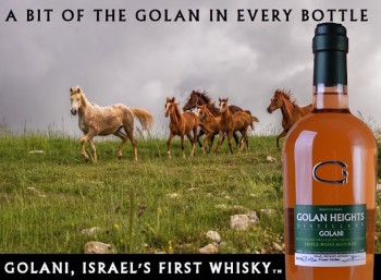 Le Golani est le premier whisky à être mis en bouteille et vendu en Israël. (Autorisation: Golan Heights Distillery)