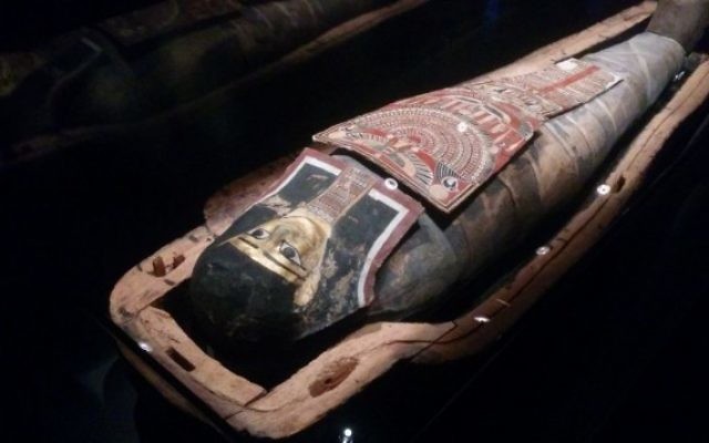 La seule momie égyptienne d'Israël est exposée au musée d'Israël depuis le 25 juillet 2016. (Crédit : Ilan Ben Zion/Times of Israel)