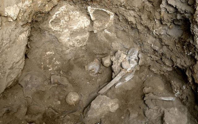 Les ossements d'une femme préhistorique découverts sur un site funéraire dans la grotte d'Hilazon, au nord d'Israël. (Crédits : Naftali Hilger)