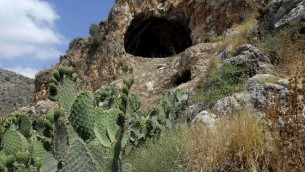 Une vue de la grotte d'Hilazon Tachtit, en Galilée. (Crédits : Leore Grosman)
