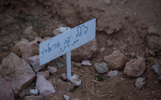 La sépulture fraîche de Hallel Yaffa Ariel dans le cimetière juif de Hébron, en Cisjordanie, le 30 juin 2016 (Credit photo: Yonatan Sindel / Flash90)