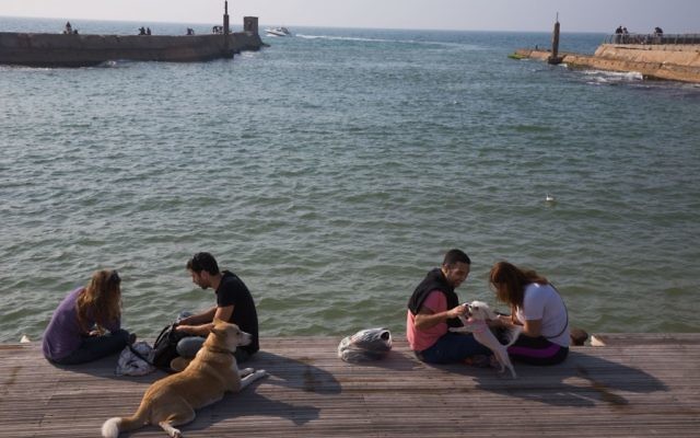 Des chiens et leurs maîtres en bord de mer au port de Tel Aviv. (Crédit : Miriam Alster/Flash90)