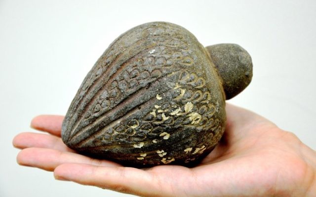Une grenade à main qui serait vieille de centaines d'années, a récemment été donnée à l'AAI, dans une photo publié le 22 août 2016 (Crédit : Amir Gorzalczany / Israel Antiquities Autorities)