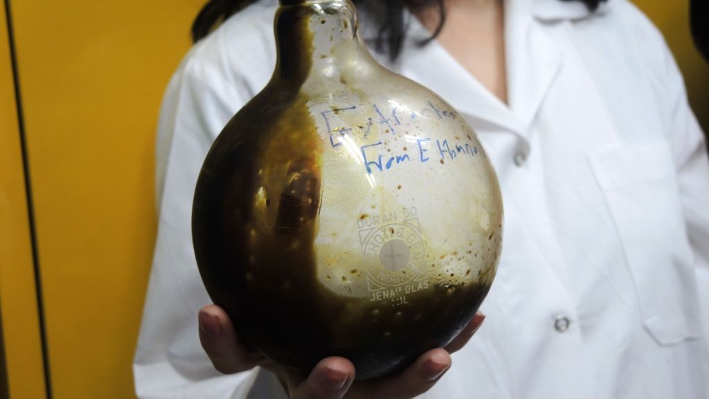 Christine Haj, post-doctorante dans le laboratoire de Mechoulam, tenant un bécher de THC pur dans le laboratoire de l'université Hébraïque, le 1er septembre 2016. (Crédit : Melanie Lidman/Times of Israel)