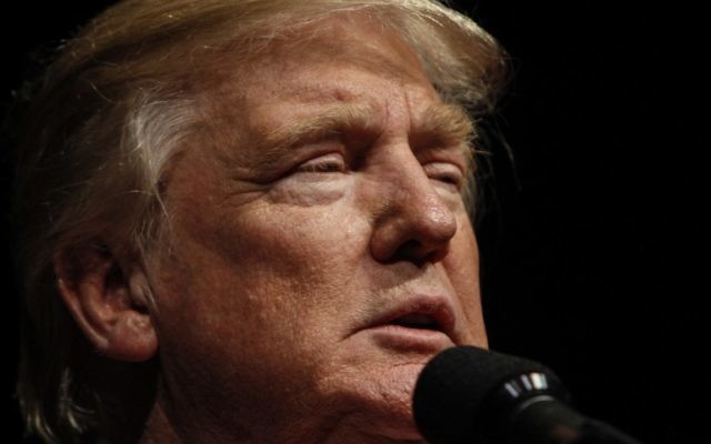 Le candidat républicain aux élections présidentielles américaines Donald Trump à Bangor, dans le Maine, le 15 octobre 2016. (Crédit : Sarah Rice/Getty Images/AFP)
