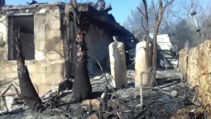 Maisons et arbres brûlés dans l'implantation de Halamish, en Cisjordanie, le 26 novembre 2016, au lendemain d'un incendie qui a touché des dizaines de maisons. (Crédit : pompiers israéliens)