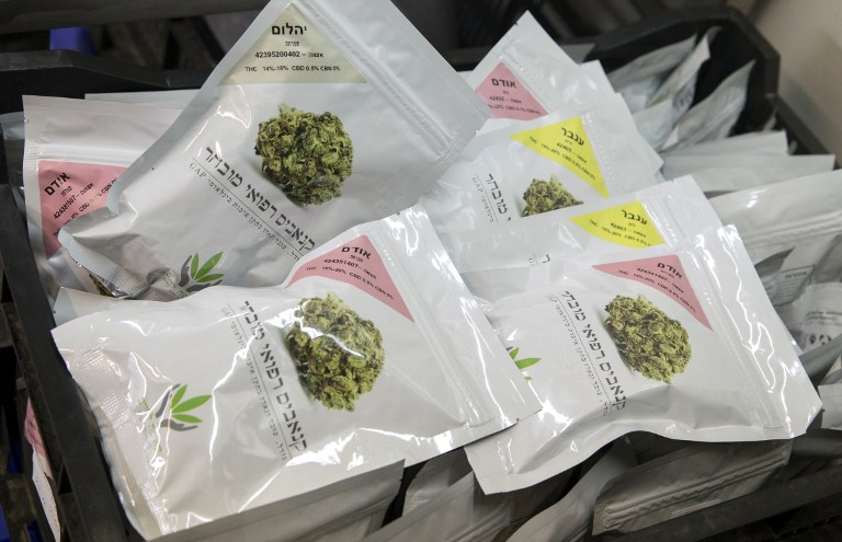 Des sacs de marijuana prêts à l'emploi dans les laboratoires de l'entreprise BOL (Breath Of Life) dans la seconde plus importante plantation de cannabis du pays, à côté de Kfar Pines dans le nord d'Israël, le 9 mars 2016 (Crédit : Jack Guez/AFP)