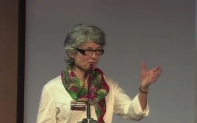 Catherine Blein est conseillère régionale de Bretagne et ex-candidate du FN aux législatives (Crédit: capture d'écran Youtube/Agence2Presse)
