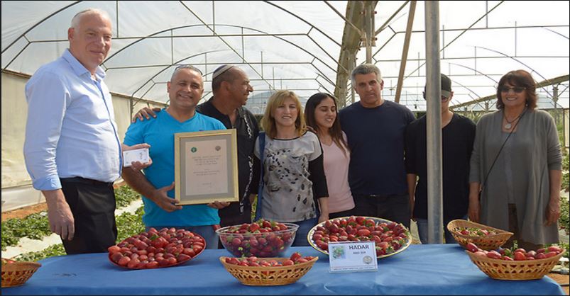 Uri Ariel, à gauche, ministre de la culture, avec la famille d'Hadar Cohen pour une cérémonie où une variété de fraise a été nommée 'Hadar', en avril 2017. (Crédit : Volcani Center)