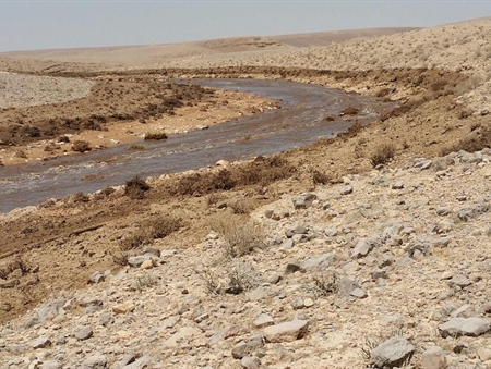 Le cours d'eau boueux d'Ashalim après la fuite de déchets toxiques depuis une usine d'engrais, le 30 juin 2017. (Crédit : ministère de l'Environnement) 