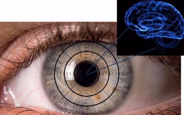 L'œil est comme une fenêtre de notre cerveau. L'équipe médicale de Sheba cherche les signes de la maladie d'Alzheimer dans nos yeux (Crédit : Autorisation Ifat Sher)