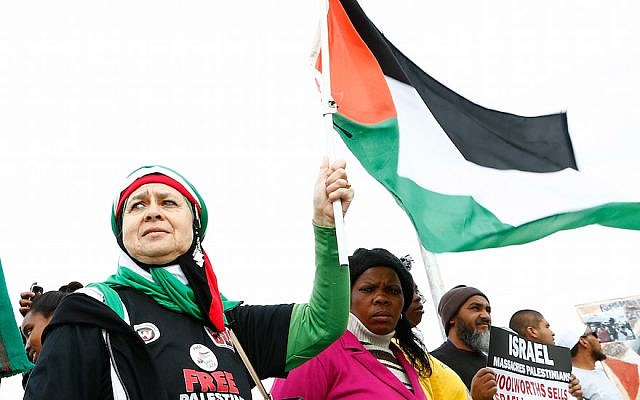 Illustration : Des manifestants pro-palestiniens soutenant la campagne BDS contre Israël manifestent devant un concert de Pharrell Williams devant le Grand West Arena, à Cape Town, en Afrique du Sud, le 21 septembre 2015. (Crédit : Michelly Rall/Getty Images via JTA)
