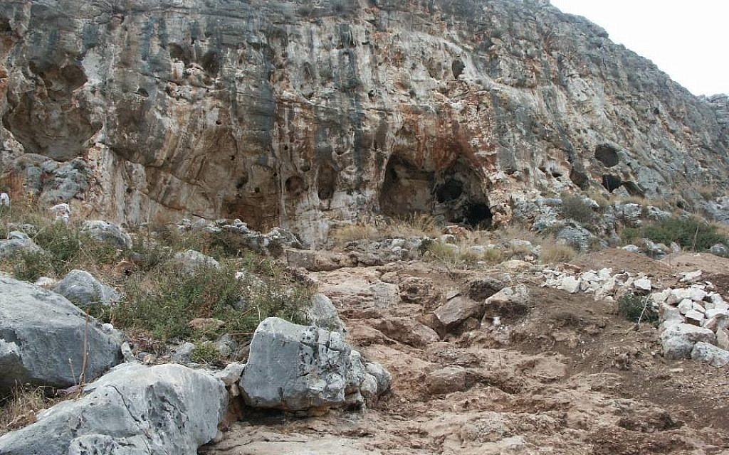 La grotte de Misliya, où une mâchoire entière avec ses dents ont été récemment retrouvés. L'os maxillaire daterait d'il y a 177 000 à 194 000 ans (Crédit Mina Weinstein-Evron, Université de Haïfa)