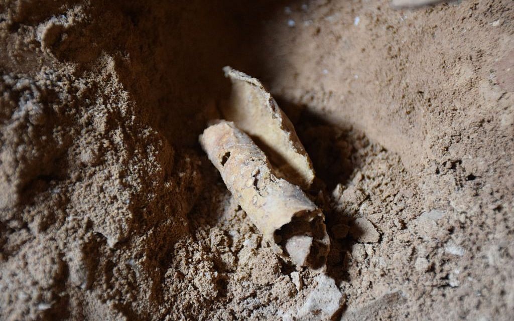 Le reste d'un rouleau découvert dans une grotte près de Qumran après avoir été ôté d'un pot (Crédit : Casey L. Olson et Oren Gutfeld, Université hébraïque)