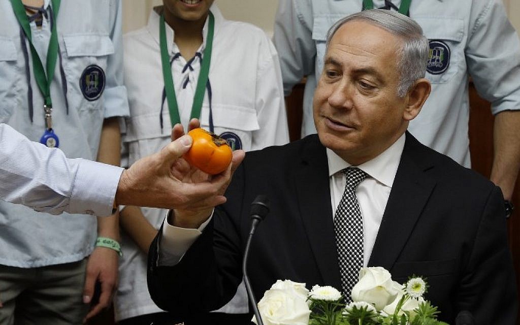 Le Premier ministre Benjamin Netanyahu à l'ouverture de la réunion hebdomadaire de son cabinet, à son bureau de Jérusalem, le 25 février 2018 (AFP PHOTO / GALI TIBBON)