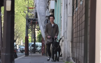 Illustration : Une femme aveugle avec son chien (Capture d'écran : YouTube)