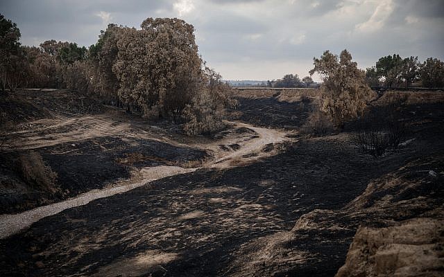 Vue des terres brûlées autour du torrent Besor à Tel Gama, près de la frontière avec la bande de Gaza, le 28 juin 2018. (Hadas Parush/Flash90)