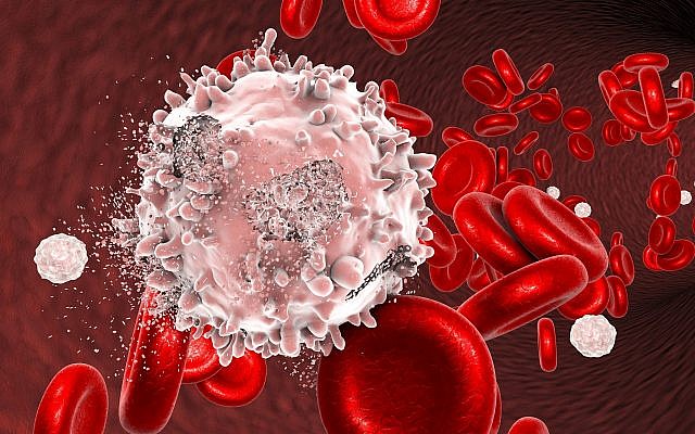 Illustration de la destruction d'une cellule leucémique. (Crédit : Dr_Microbe, iStock by Getty Images)