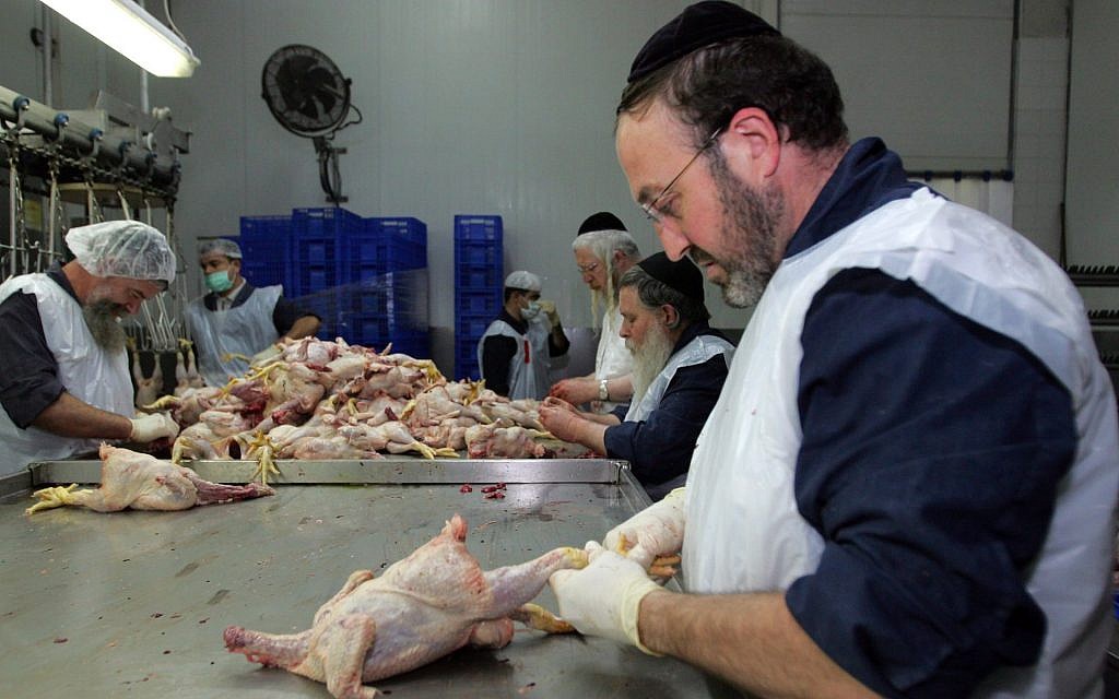 A titre d'illustration : Des rabbins juifs orthodoxes nettoient des poulets abattus dans une usine de poulets de Jérusalem, le 20 mars 2006, à Jérusalem, Israël. (Paula Bronstein/Getty Images)