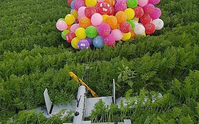 Un engin en forme de drones en provenance de la bande de Gaza, porté par des dizaines de ballons d'hélium, a atterri dans un champ de carottes au sud d'Israël le 6 janvier  2019. (Autorisation)