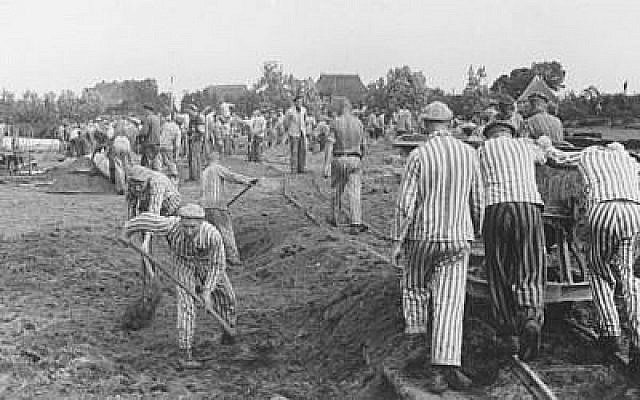 Des prisonniers pendant des travaux forcés, construisent le canal Dove-Elbe, en Allemagne, en 1941-42. (Crédit : US Holocaust Memorial Museum, autorisation de KZ-Gedenkstatte Neuengamme)