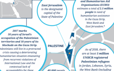 Une capture d'écran du site internet de l'Immigration en Nouvelle Zélande mentionne la Palestine au lieu d'Israël sur une carte. (Immigration Nouvelle Zélande via JTA)
