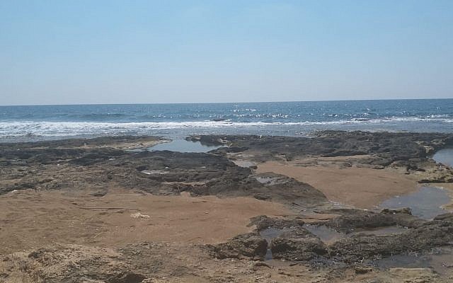 Une plage de la mer de Galilée ouest où les autorités proposent de construire une usine de désalinisation de l'eau. (Crédit : Yuval Hadar)