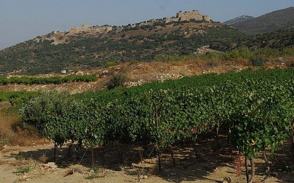 Les États-Unis démentent ne plus reconnaitre le Golan comme territoire israélien - Vimarsana News