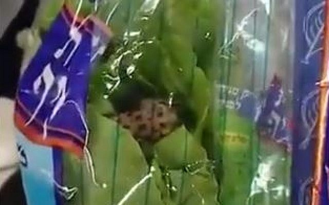 Une grenouille a été retrouvée dans un sac de laitue casher dans un magasin israélien, le 31 juillet 2019. (Capture d'écran : twitter)