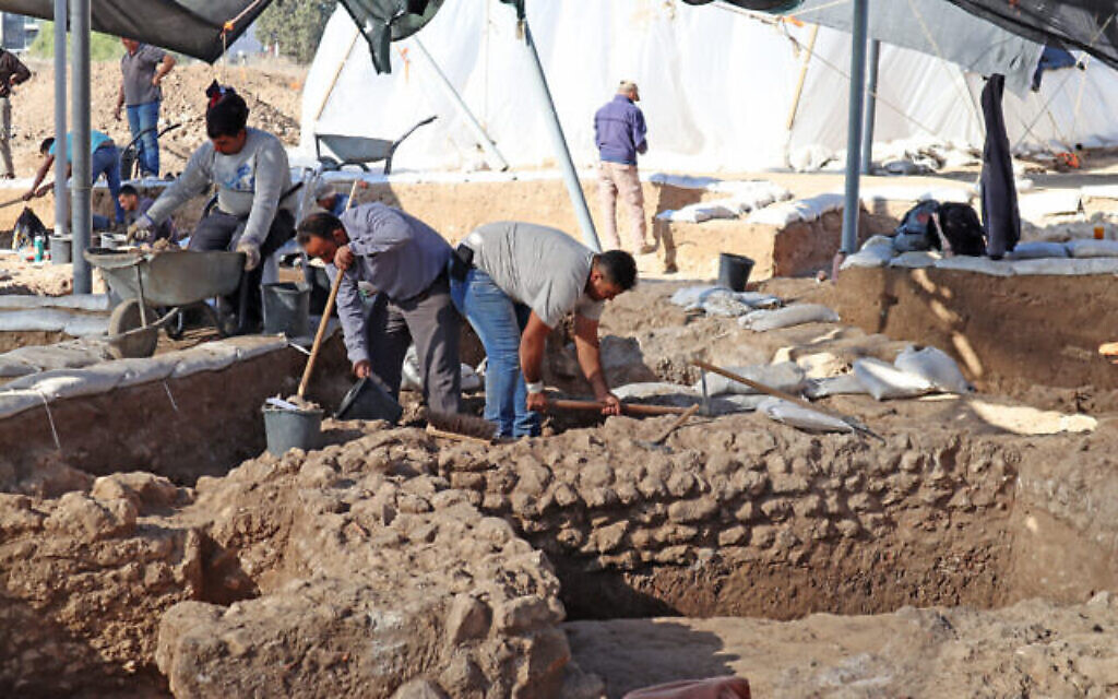Les travaux sur le site de fouilles d'Ashkelon (Crédit : Anat Rasiuk, Israel Antiquities Authority)