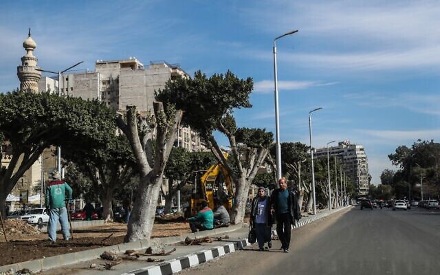 Arbres partiellement coupés et construction dans une rue d'Héliopolis, au Caire, la capitale égyptienne, le 27 janvier 2020. (Crédit : Mohamed el-Shahed / AFP)