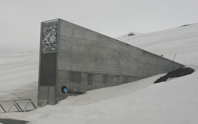 La Réserve mondiale de semences du Svalbard, une chambre forte souterraine sur l'île norvégienne du Spitzberg destinée à conserver dans un lieu sécurisé des graines de toutes les cultures vivrières de la planète et ainsi de préserver la diversité génétique. Le projet a été réalisé par l'architecte Peter W. Søderman1. (Crédit : Wikimedia Commons)