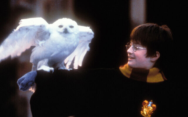 Daniel Radcliffe dans l'adaptation cinématographique "Harry Potter à l'école des sorciers (Peter Mountain/WireImage via JTA)
