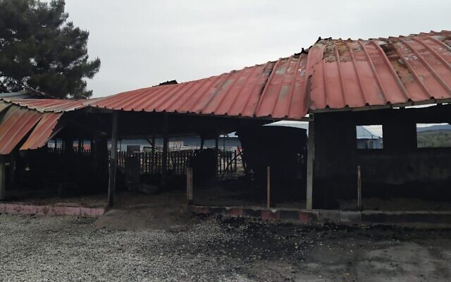 L'Ecole internationale pour Enfants réfugiés sur l'île grecque de Lesbos après qu'elle a brûlé le 8 mars 2020. 
(Crédit)