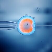 Illustration. Fécondation in vitro (FIV) d'un ovule. (iStock par Getty Images/ man_at_mouse)