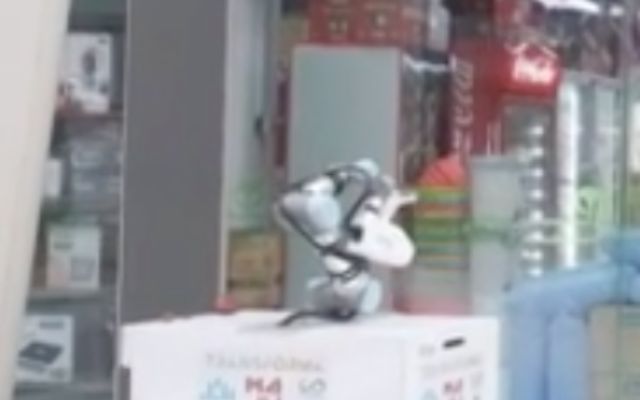 Capture d'écran du robot en action (Crédit : AFP)