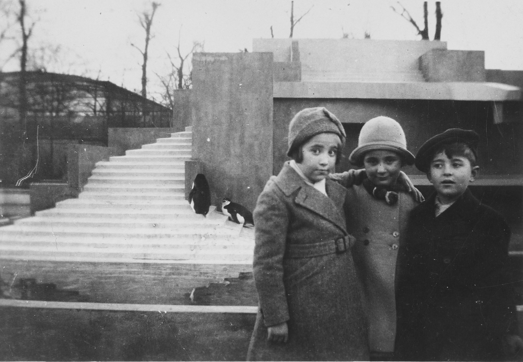 Une photo d'avant-guerre prise au zoo d'Amsterdam. Sur la photo, Leo et Bertie Serphos et leur ami Rene Schap. Bertie et Rene devaient périr pendant la Shoah (Crédit :  USHMM)